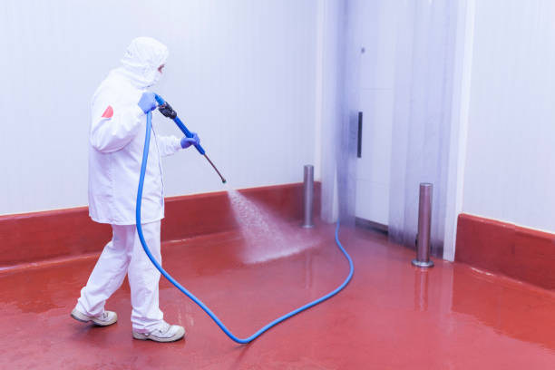 Best Parking Lot Cleaning in Richardson, TX